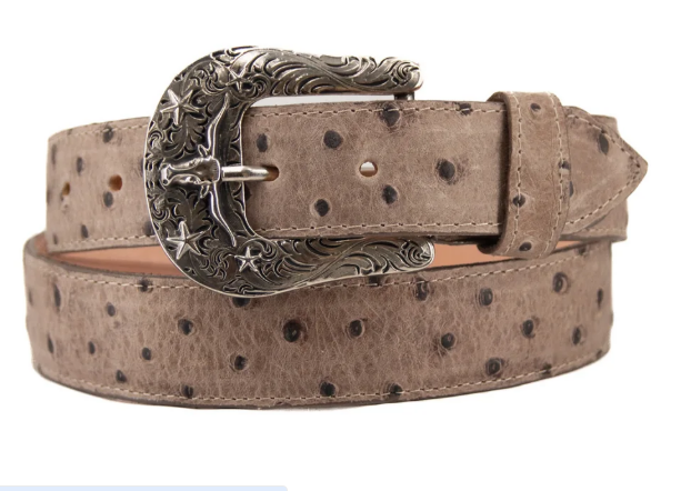 Ostrich Ranch Cowboy Belt