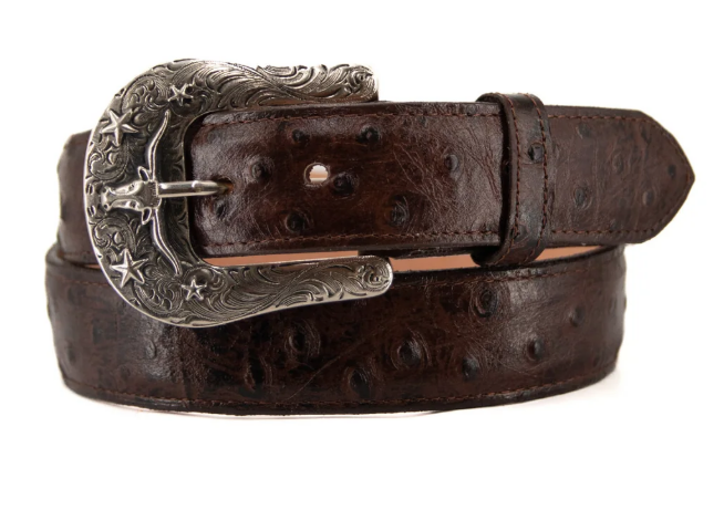 Ostrich Ranch Cowboy Belt