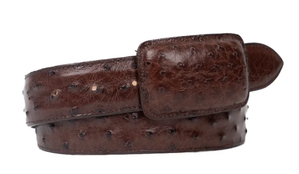 Tommy Exotic Ostrich Cowboy Belt - Brown angle 2