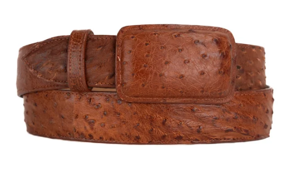 Tommy Exotic Ostrich Cowboy Belt - Shedron