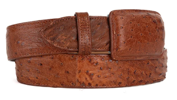Tommy Exotic Ostrich Cowboy Belt - Shedron angle 2